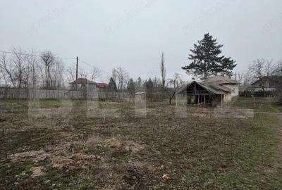 Casă cu Teren 2714 Mp în Central - 5