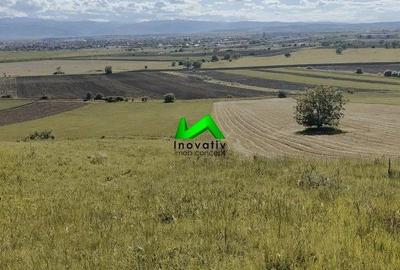 Teren agricol extravilan de 4500 mp, în Gușterița