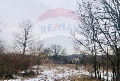 Spațiu comercial, în Cornu - 3