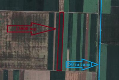 Teren arabil (13800 mp) situat la 350 de metri de canal de irigatii functional - 2