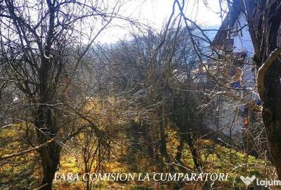 Teren de 1231 mp, în Călimănești - 7