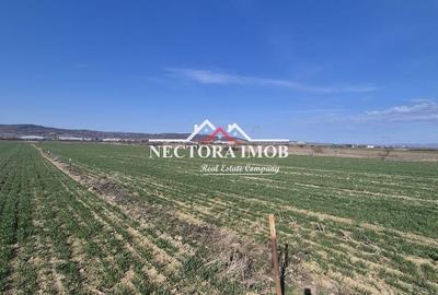 Spațiu comercial, în Central - 3