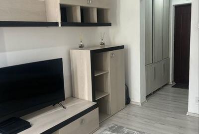 Garsonieră în Brazda lui Novac - 5