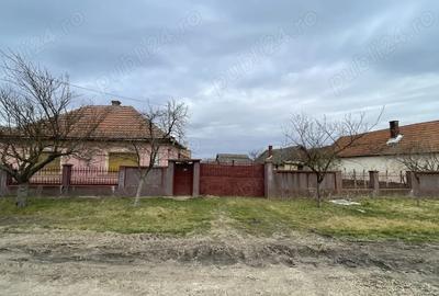 Casă în Sălard - 3