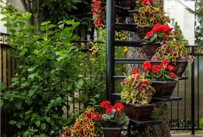 Ultracentral- vila lux- amenajata Pensiune- afacere la cheie - 10