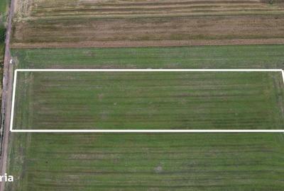 Spațiu comercial, în Nord - 2