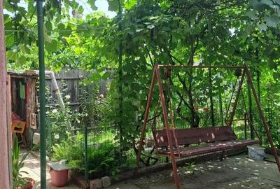 Casa parter , Bariera Valcii , 816 mp teren - 12