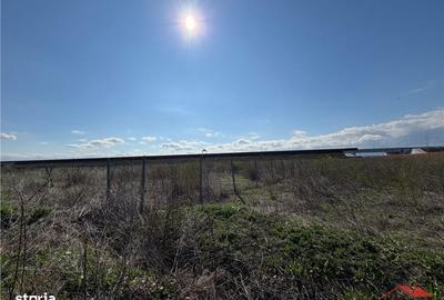 Spațiu comercial, în Petrești - 3