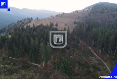 Teren situat in Frasin | BUCOVINA - 6