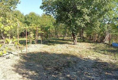 Casă cu 4 camere cu Teren 1070 Mp în Girocului