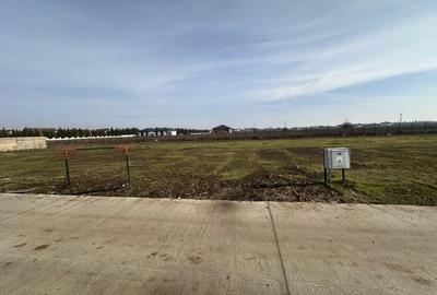 Teren Construcții intravilan de 786 mp, în Corbeanca - 3