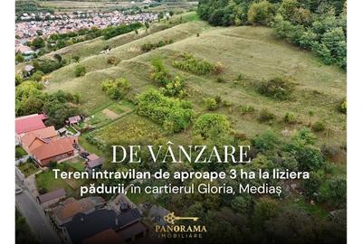 Teren intravilan de aproape 3 ha la liziera pădurii | cartierul Gloria - 1