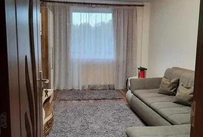 Dambu Pietros - Inchiriere apartament 2 camere - Strada Parangului - 2