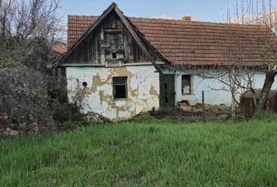 Teren de 719 mp, în Podgoria - 2