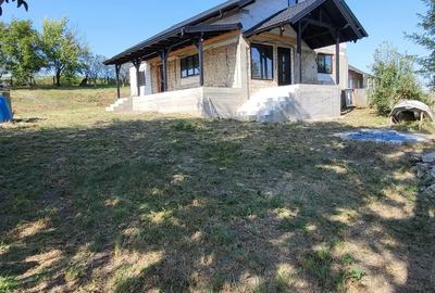 Casa noua + teren mare (6.400 m ) Sauceni?a, aproape de Dorohoi - 4