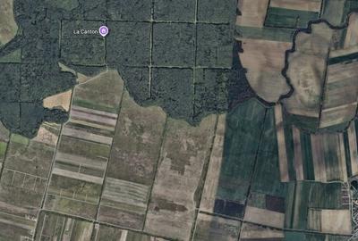 Teren zona Mosnita Padurea Bistra - 2