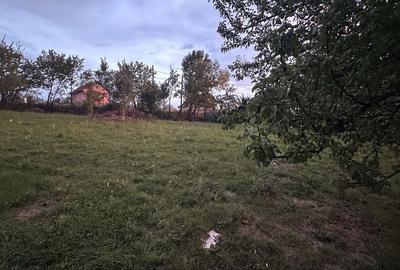 Spațiu comercial, în Central