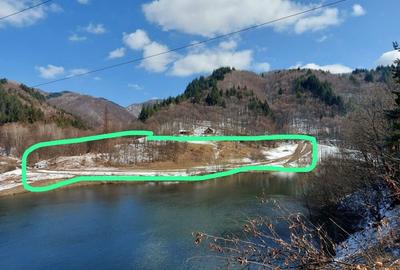 Teren de 8000 mp, în Cloșani - 1