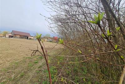 Teren Construcții intravilan de 1683 mp, în Lunca Calnicului - 15