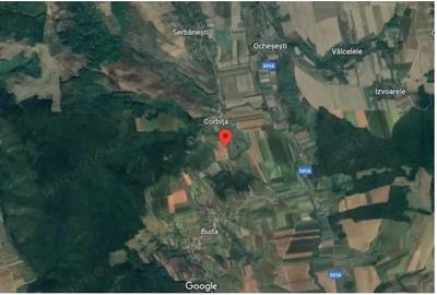 Teren Corbita, ID: R1984008 - 1