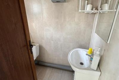 Spatiu Comercial de vanzare pe strada Crangului 101 Vanatori - 13