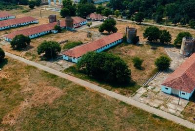 Teren de 301252 mp, în Biled - 19