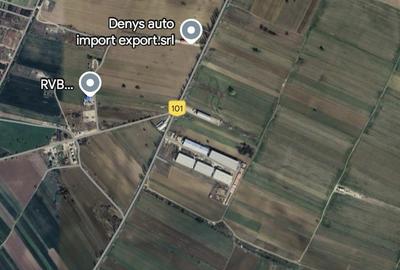 Ilfov, intre Magurele si Darasti - 4