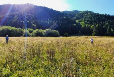 Teren de 2089 mp, în Tarcău