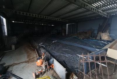 Exclusivitate Hala Padureni 400000 euro - 8