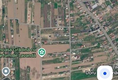 Teren în Snagov