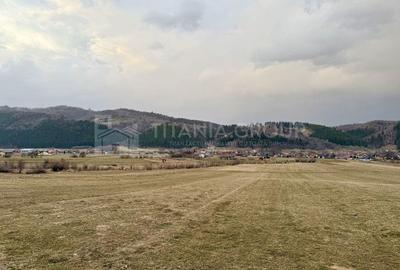 Teren de 2548 mp, în Zărnești - 3