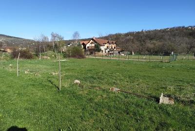 Spațiu comercial, în Sibiel - 2