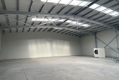 Spatiu depozitare si productie Soseaua de centrua Chitila - 8