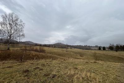 Teren Construcții extravilan de 3171 mp, în Vama Buzăului - 8