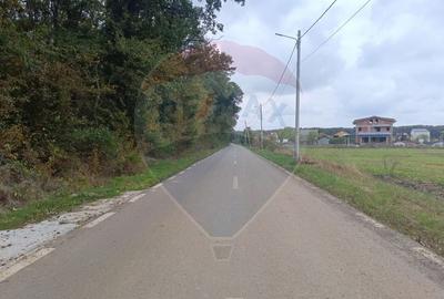 Teren 1,500mp Ghermanesti / Strada Cetatea neamtului - 3