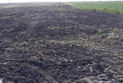 Vand teren extravilan comuna Agigea - 4