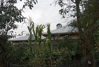 Casă cu 3 camere în Putineiu - 3