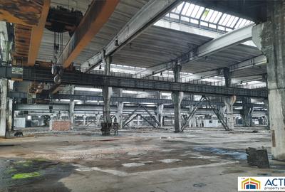 Spatiu productie de inchiriat Aiud - 3