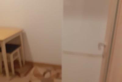 Garsonieră decomandată, mobilată în Lunca Cetățuii - 2