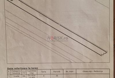 Vila + Afacere 15.000mp Clinceni - 29