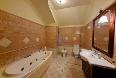 Poziție de top în Dumbravita Poziție de top în Dumbravita - 13