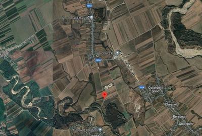 Teren de 600 mp, în Mănești - 8
