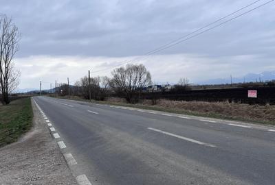 Teren agricol extravilan de 50000 mp, în Hălchiu - 3