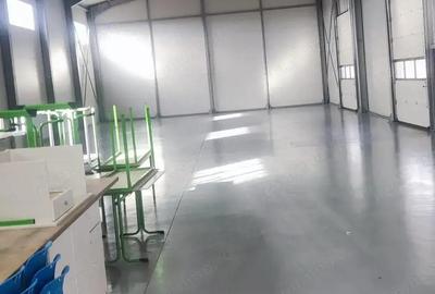 Hala 250 mp noua Ciorogarla ( Autostrada A 1 ) - 2