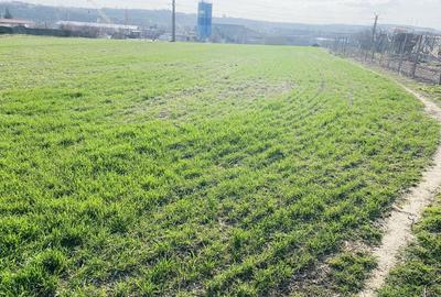 Spațiu comercial, în Lumina - 3