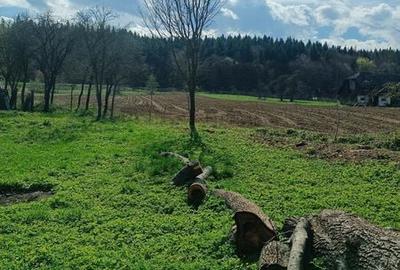 Teren de 500 mp, în Bodești - 7