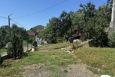 De vanzare Casa cu teren 3500MP in Sabisa/Maramures - 7