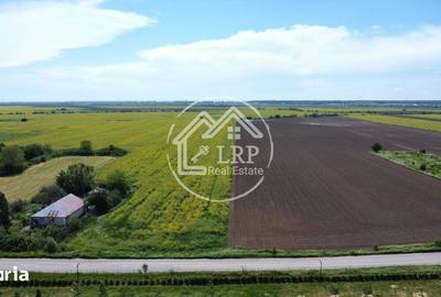 Teren de 15500 mp, în Dascălu - 5