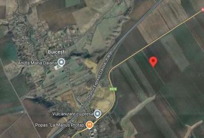 Teren extravilan 12500 mp, Valea Mare, Olt - 3