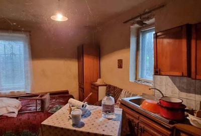 Casa + teren intravilan 6600mp A?chileu Mare - 4